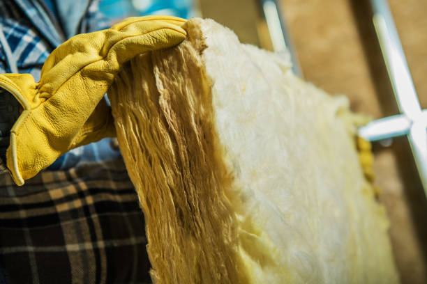Best DIY Insulation Kits and Guidance in Fayette, MS